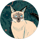 Поліна Ш. profile picture